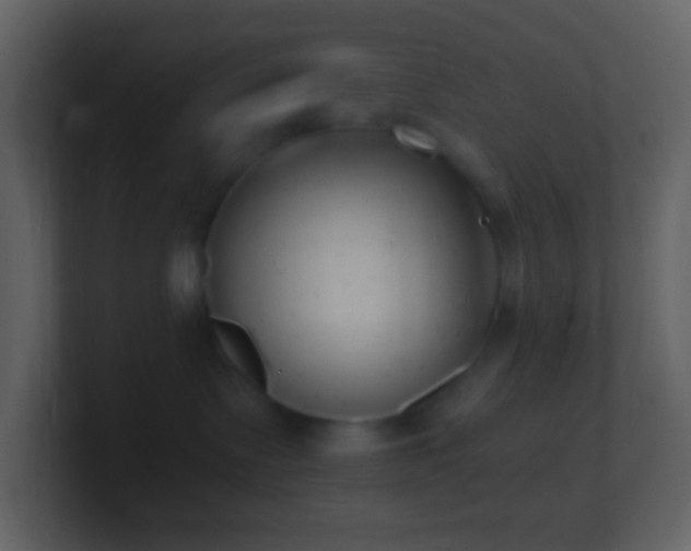 X0000101430335200807071347