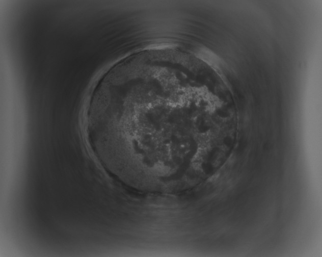 X0000101430337200807071346
