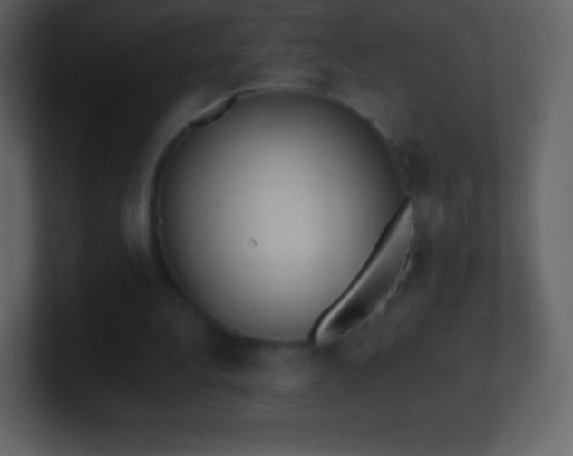 X0000101430340200807071346