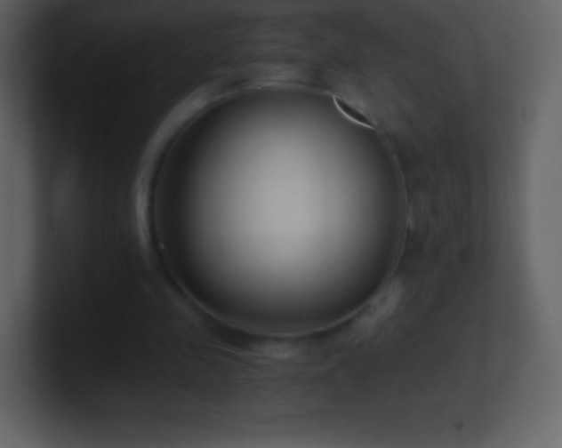 X0000101430341200807071346