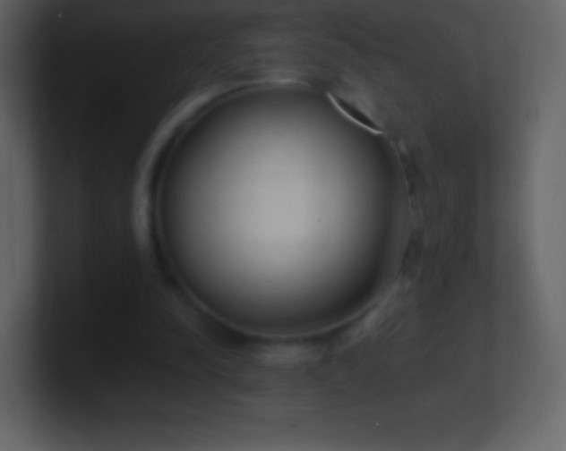 X0000101430342200807071346