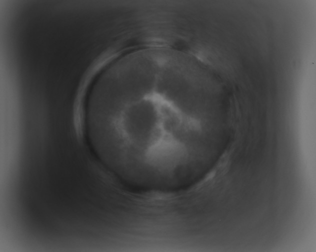 X0000101430343200807071346