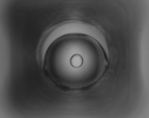 X0000101430344200807071346
