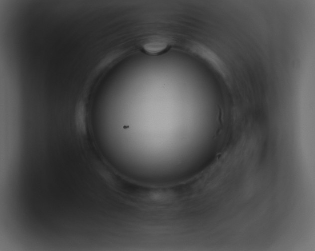 X0000101430345200807071346
