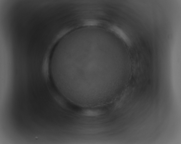 X0000101430346200807071346
