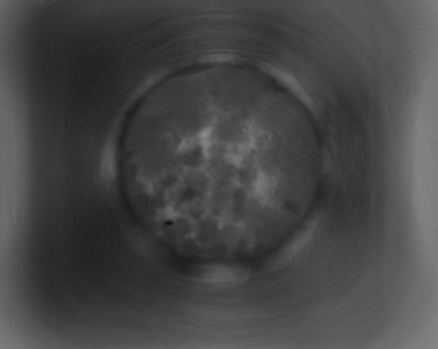 X0000101430347200807071346
