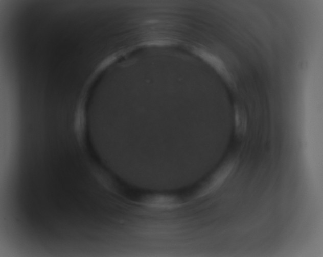 X0000101430348200807071346