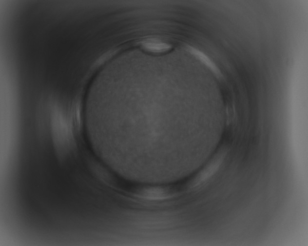 X0000101430349200807071346
