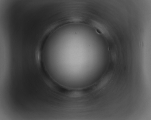X0000101430350200807071346