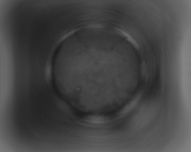 X0000101430351200807071346