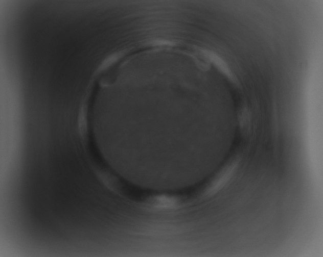 X0000101430352200807071346