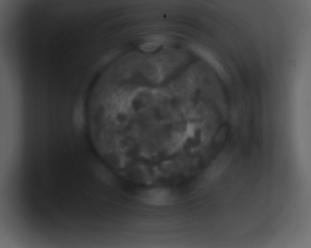 X0000101430353200807071346