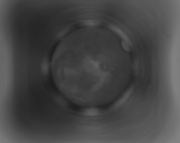X0000101430355200807071346