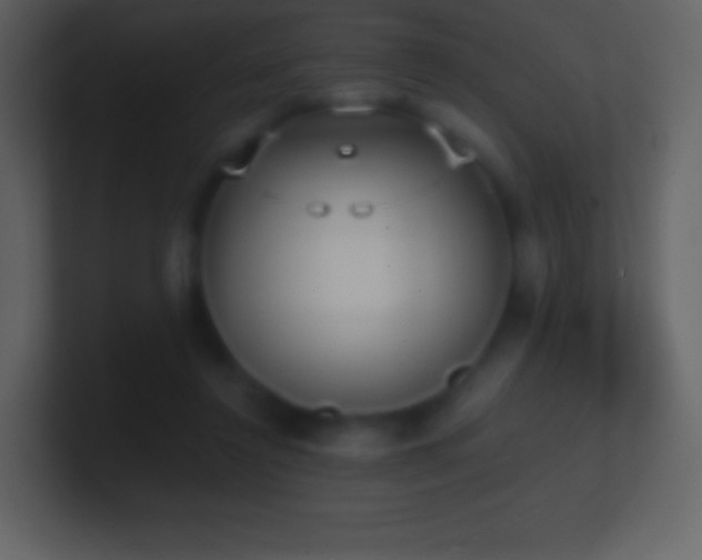 X0000101430356200807071346