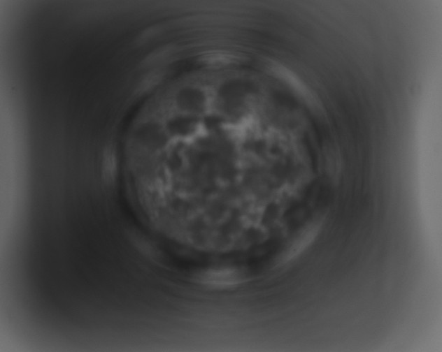 X0000101430357200807071346