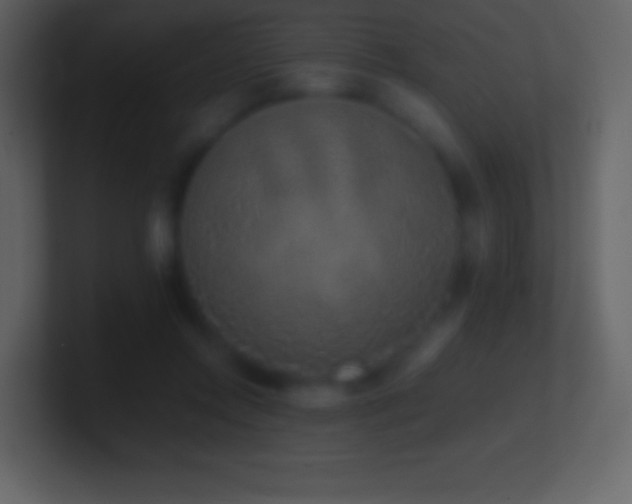 X0000101430358200807071346
