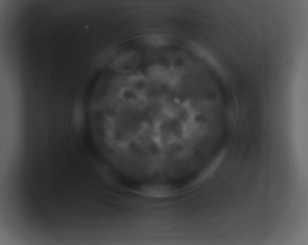 X0000101430359200807071346
