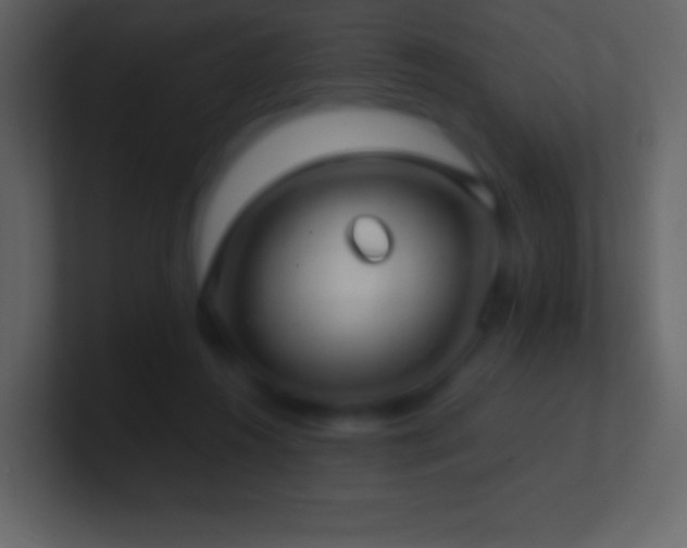 X0000101430360200807071346