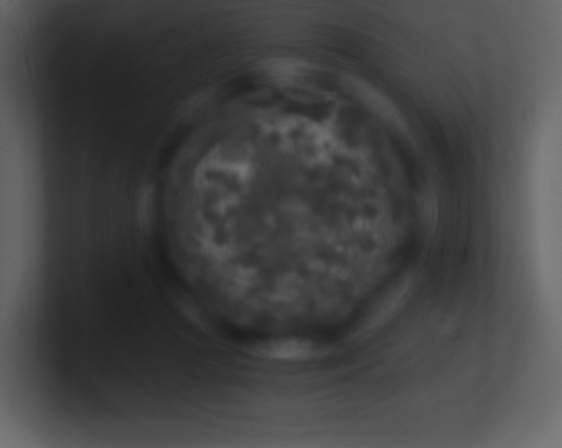 X0000101430361200807071346
