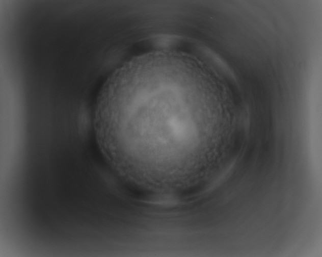 X0000101430363200807071346