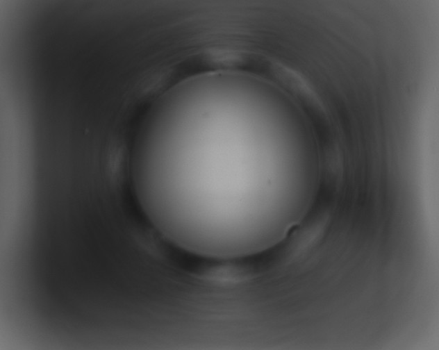 X0000101430364200807071346