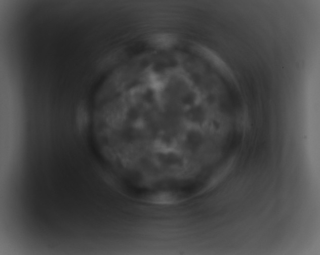 X0000101430365200807071346