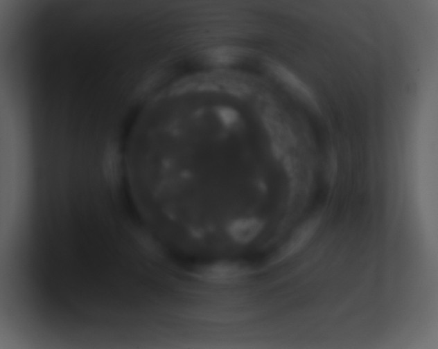 X0000101430366200807071346
