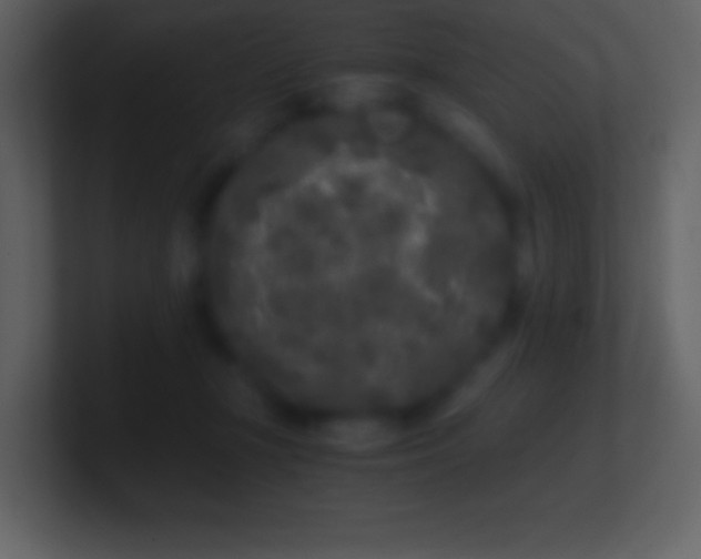 X0000101430367200807071346