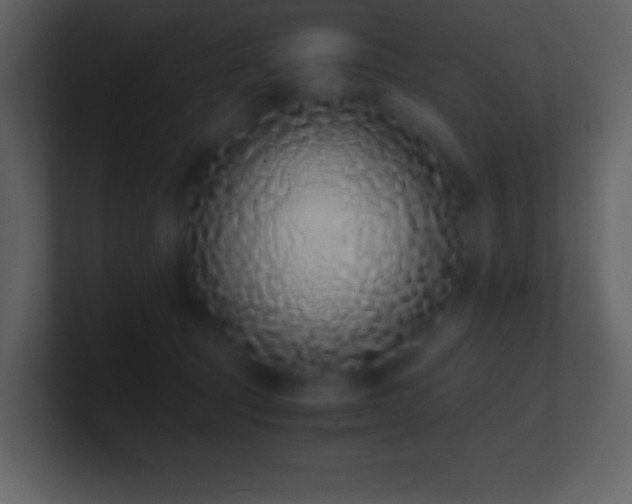 X0000101430369200807071346