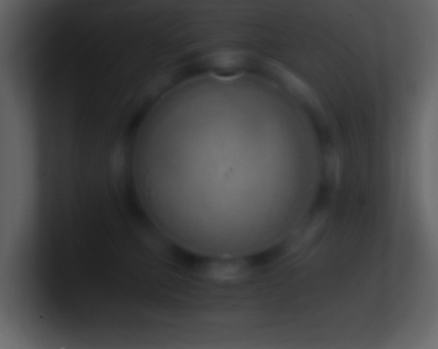 X0000101430373200807071347