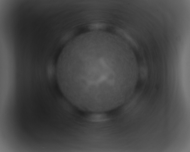 X0000101430375200807071347