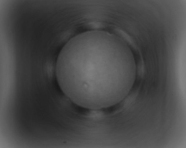 X0000101430376200807071347