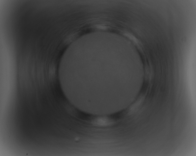 X0000101430377200807071347