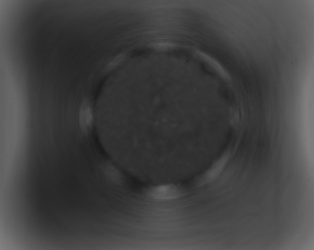 X0000101430382200807071347