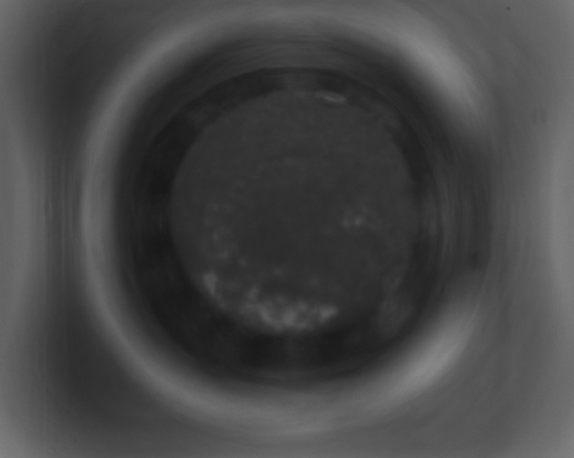 X0000101430383200807071347