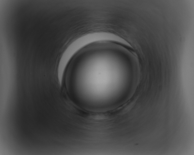 X0000101430384200807071347