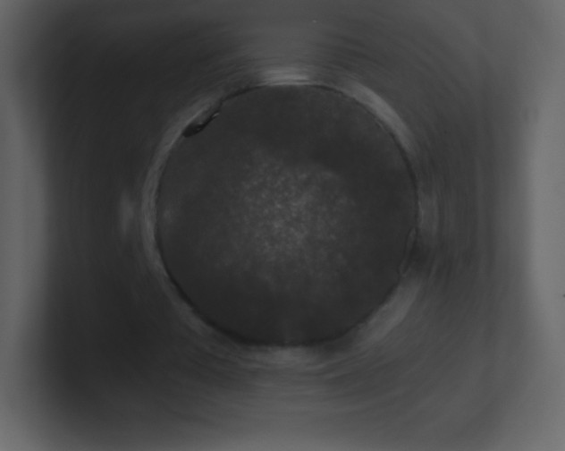X0000101430385200807071346