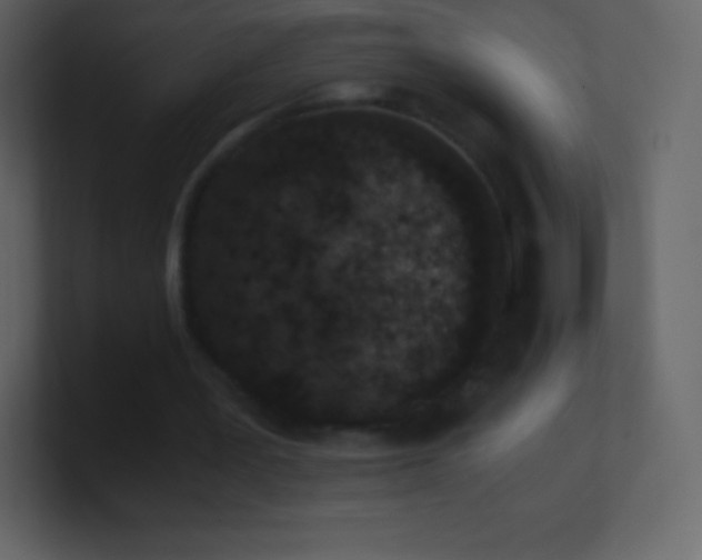 X0000101430387200807071346