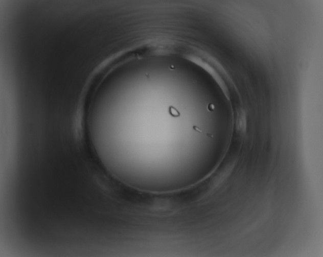 X0000101430388200807071346