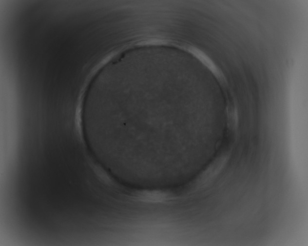 X0000101430389200807071346