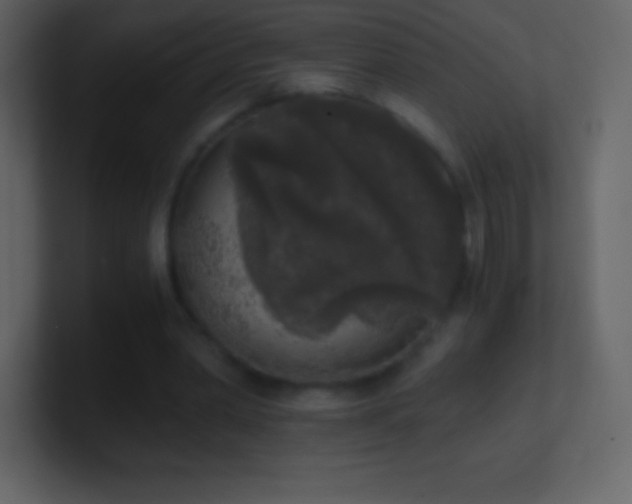 X0000101430390200807071346