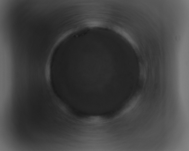 X0000101430391200807071346