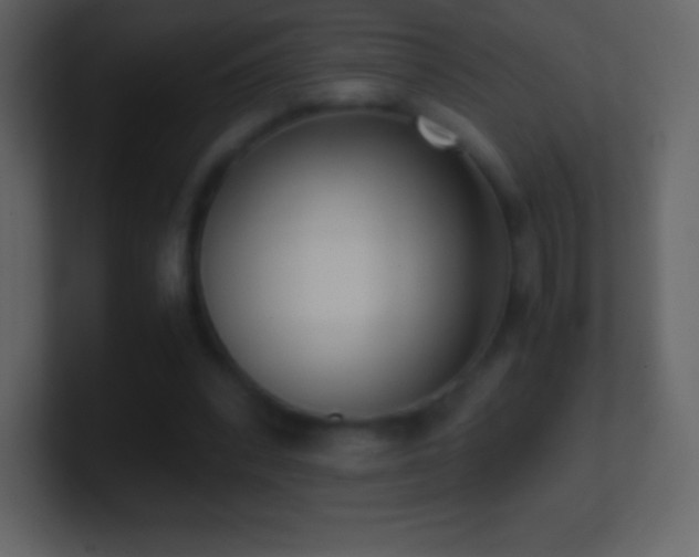 X0000101430392200807071346