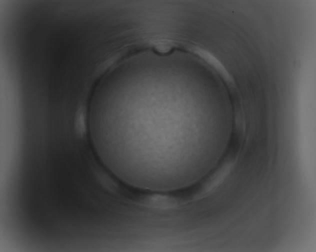 X0000101430393200807071346