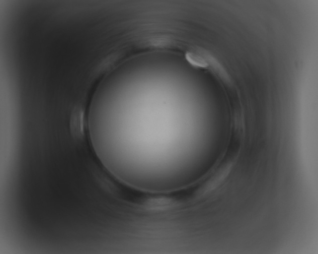 X0000101430397200807071346