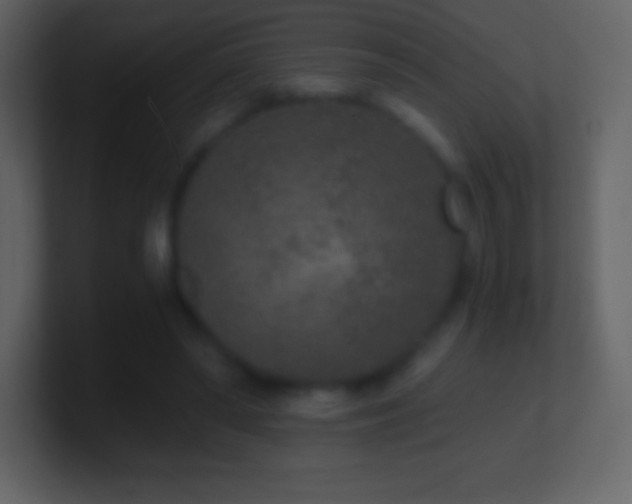 X0000101430398200807071346