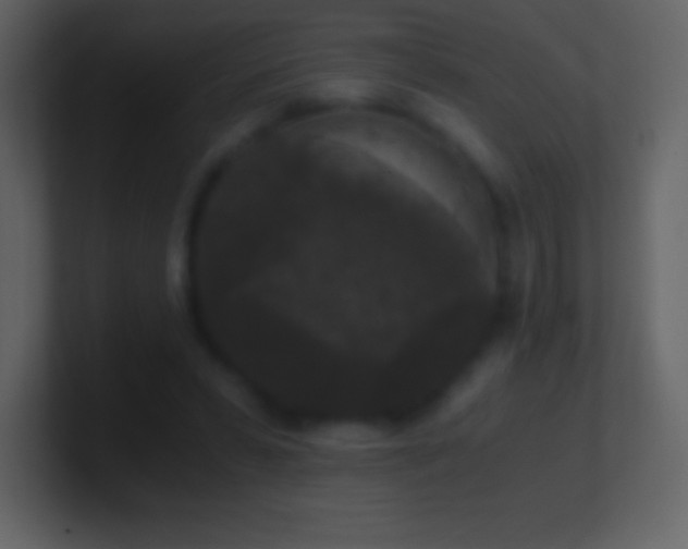 X0000101430399200807071346