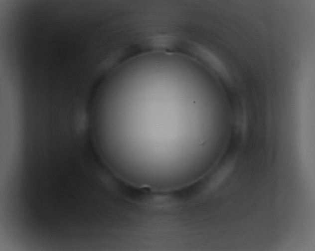 X0000101430401200807071346