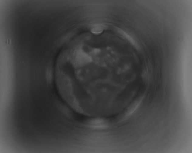 X0000101430402200807071346