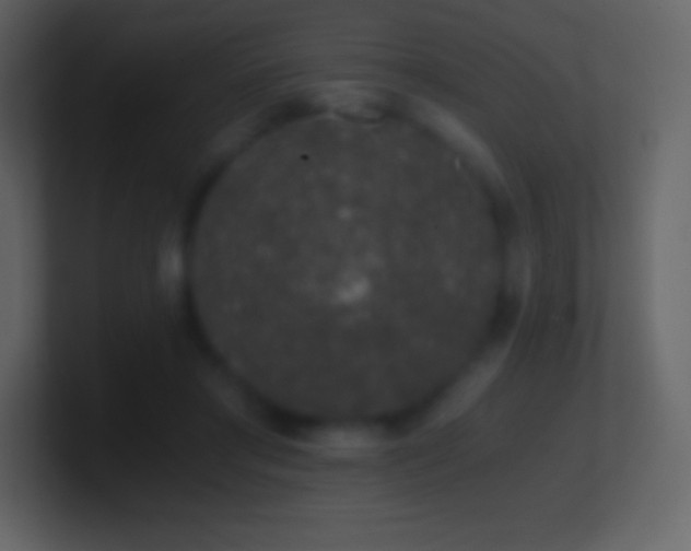 X0000101430405200807071346